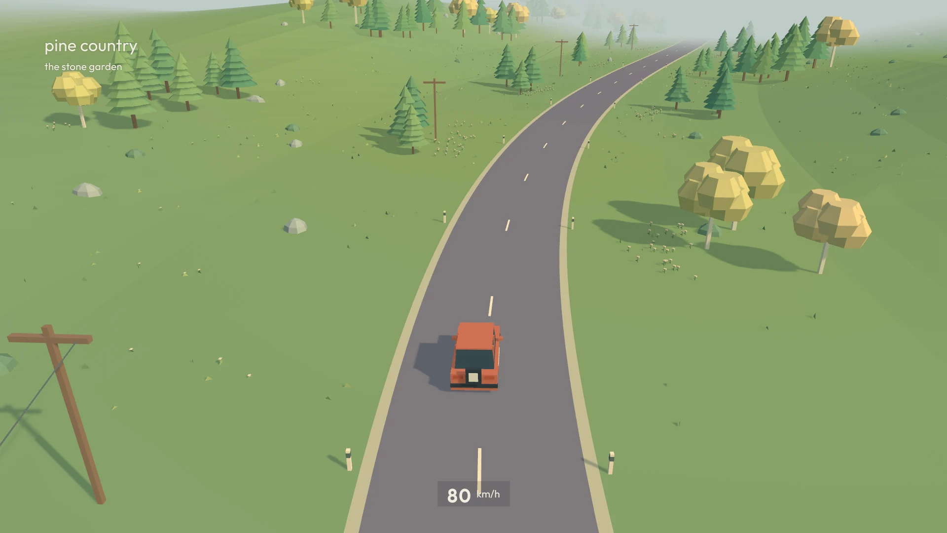 A drive through Mavora's pine forest
